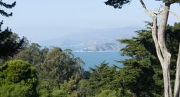 2013-02-03 San  Francisco 36.jpg