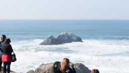 2013-02-03 San  Francisco 44.jpg