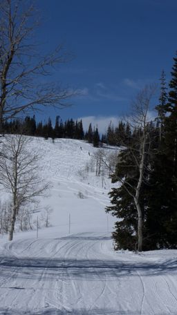 2013-02-07 Powder Ridge 28.jpg