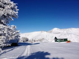2013-02-11 Columbine Inn 020.jpg
