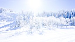 2013-02-11 Columbine Inn 030.jpg