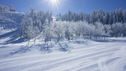 2013-02-11 Columbine Inn 031.jpg