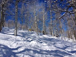 2013-02-11 Columbine Inn 039.jpg