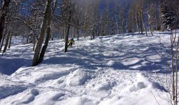 2013-02-11 Columbine Inn 041.jpg