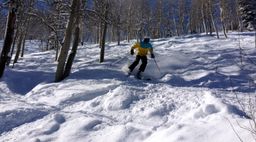 2013-02-11 Columbine Inn 042.jpg