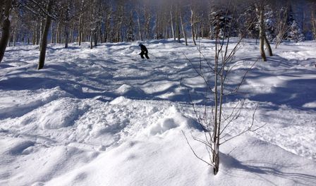2013-02-11 Columbine Inn 043.jpg