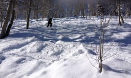 2013-02-11 Columbine Inn 044.jpg