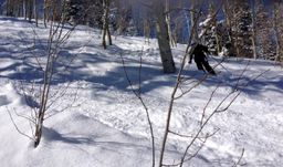 2013-02-11 Columbine Inn 045.jpg