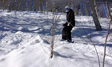 2013-02-11 Columbine Inn 046.jpg