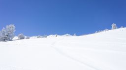 2013-02-11 Columbine Inn 067.jpg