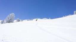 2013-02-11 Columbine Inn 068.jpg