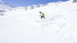 2013-02-11 Columbine Inn 072.jpg