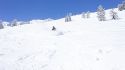 2013-02-11 Columbine Inn 074.jpg