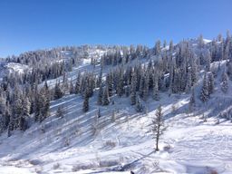 2013-02-11 Columbine Inn 081.jpg