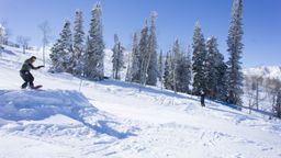 2013-02-11 Columbine Inn 085.jpg