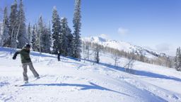 2013-02-11 Columbine Inn 089.jpg