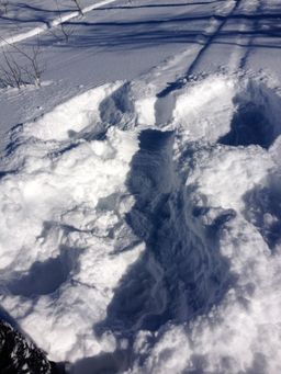 2013-02-11 Columbine Inn 106.jpg