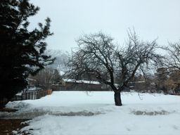 2013-02-12 Columbine Inn 119.jpg