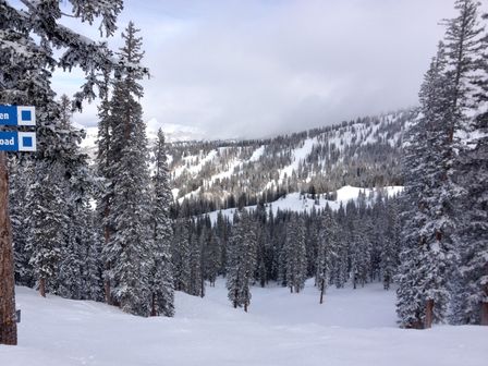 2013-02-13 Cottonwood Canyons 006.jpg