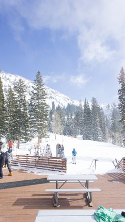 2013-02-14 Cottonwood Canyons 023.jpg