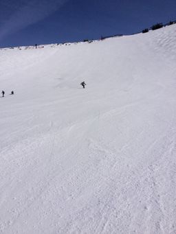 2013-02-18 Cottonwood Canyons 058.jpg