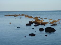 2013-10-25 Lois & John Trip 082.jpg
