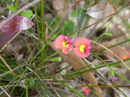 2013-10-26 Lois & John Trip 096.jpg
