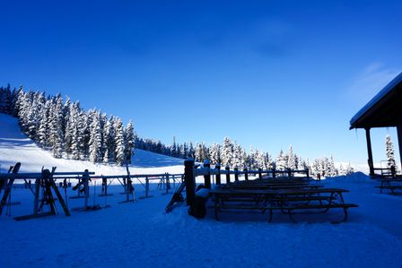 2014-02-25 Vancouver & Whistler Blackcomb 42.jpg