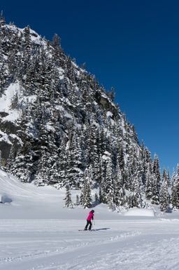 2014-02-25 Vancouver & Whistler Blackcomb 46.jpg