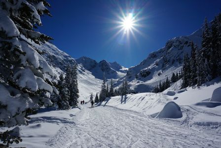 2014-02-25 Vancouver & Whistler Blackcomb 56.jpg