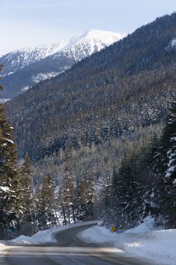 2014-02-26 Sun Peaks 16.jpg