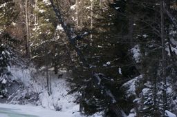 2014-02-26 Sun Peaks 27.jpg