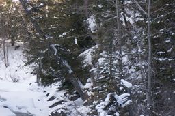 2014-02-26 Sun Peaks 28.jpg