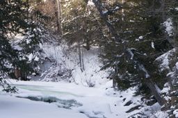 2014-02-26 Sun Peaks 30.jpg