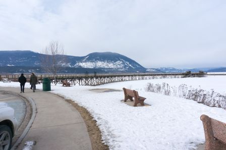 2014-03-01 Revelstoke 04.jpg
