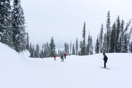 2014-03-04 Revelstoke 13.jpg