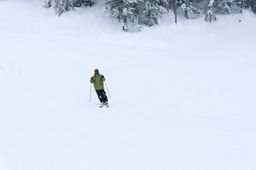 2014-03-04 Revelstoke 15.jpg