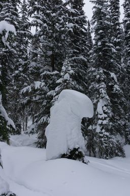 2014-03-04 Revelstoke 19.jpg
