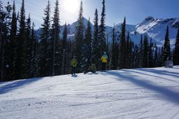 2014-03-11 Revelstoke 49.jpg