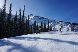 2014-03-11 Revelstoke 50.jpg