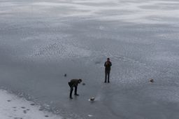 2014-03-12 Revelstoke 83.jpg