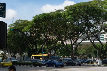 2014-12-20 Singapore 2014 06.jpg