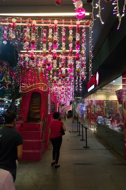 2015-01-01 Sinapore 2015 12.jpg