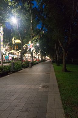 2015-01-01 Sinapore 2015 14.jpg