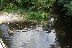 2015-01-02 Sinapore 2015 16.jpg