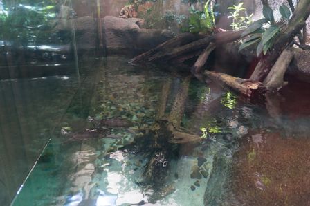 2015-01-02 Sinapore 2015 18.jpg