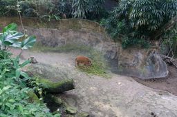 2015-01-02 Sinapore 2015 19.jpg