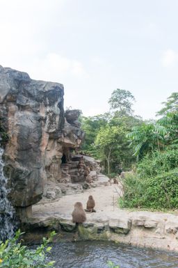 2015-01-02 Sinapore 2015 20.jpg