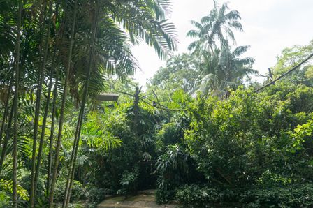 2015-01-02 Sinapore 2015 21.jpg