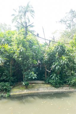 2015-01-02 Sinapore 2015 22.jpg